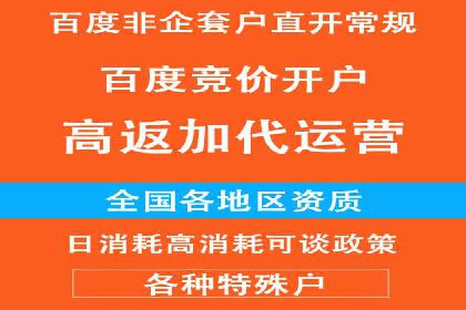 百度推广代运营公司：打造高效的网络营销团队